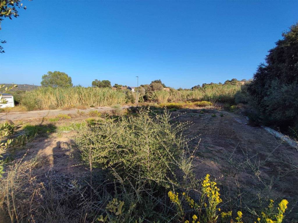 Terreno a Loceri - Foto 5