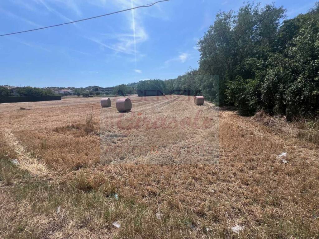 Terreno a Alba adriatica in Via Ascolana, 46 - Foto 2