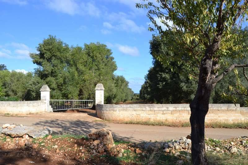 Terreno a Carovigno in SP33 - Foto 5