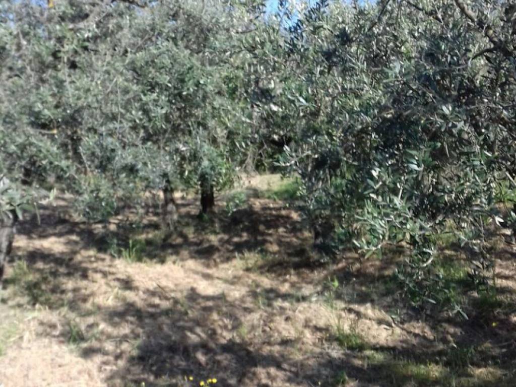 Terreno a Arezzo in Località Le Pietre - Foto 4