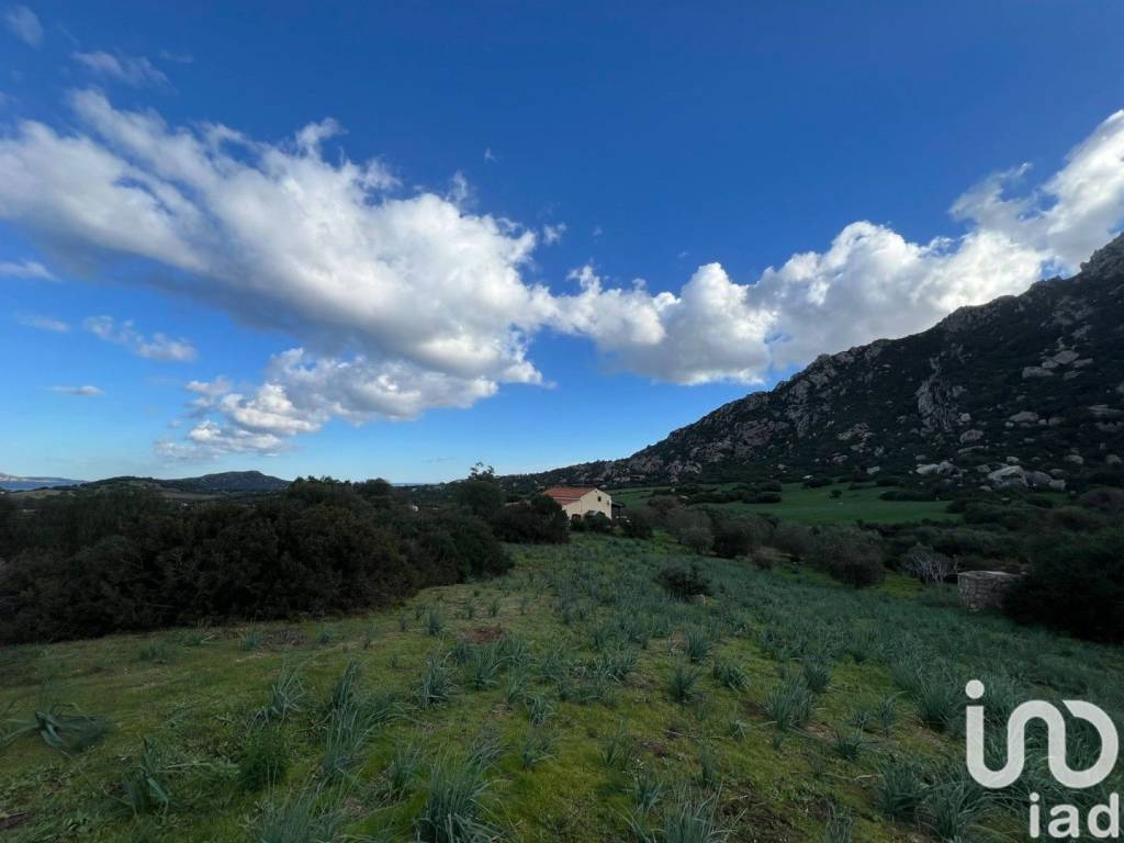 Villa a Golfo aranci in LocalitÃ SA CURI - Foto 3