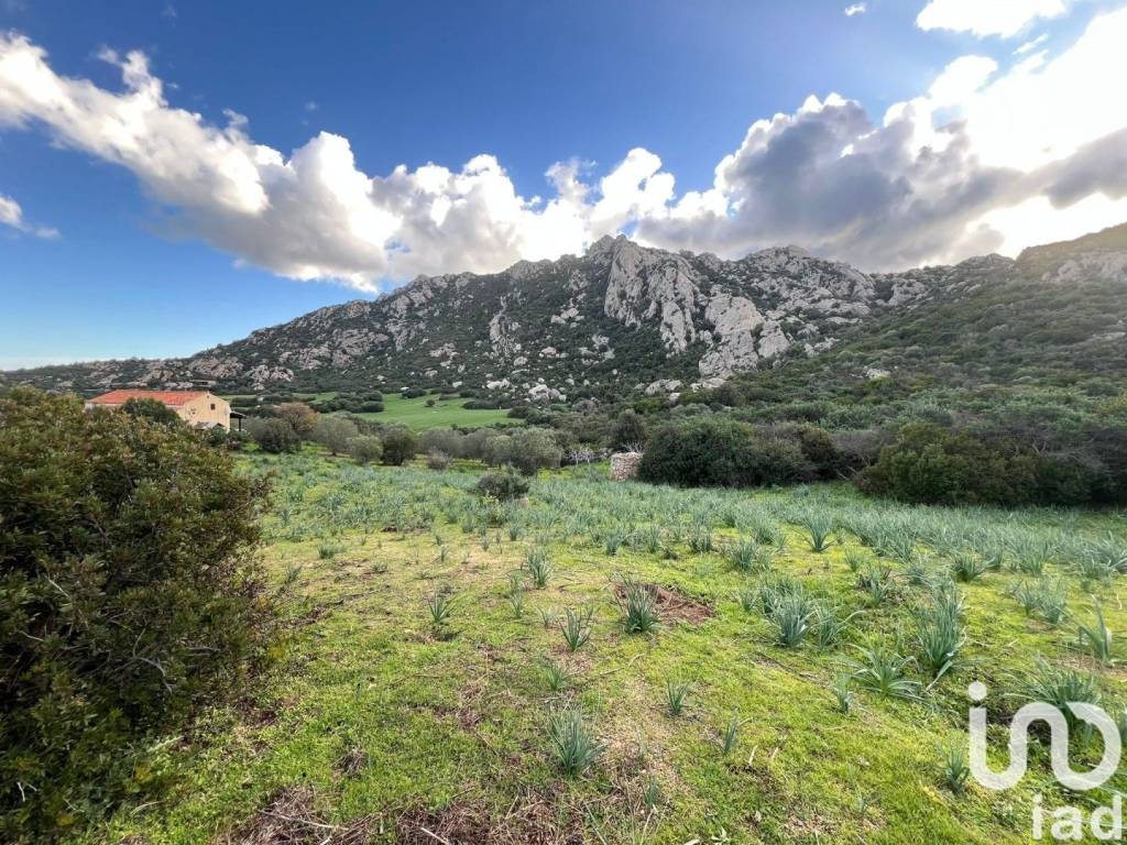 Villa a Golfo aranci in LocalitÃ SA CURI - Foto 4