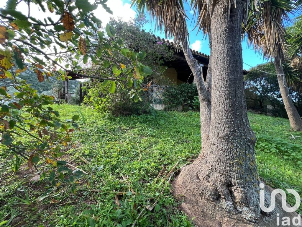 Villa a Golfo aranci in LocalitÃ SA CURI - Foto 5