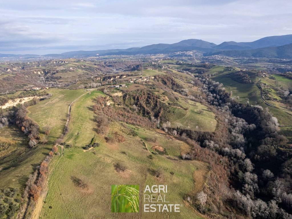 Terreno a Rieti - Foto 4