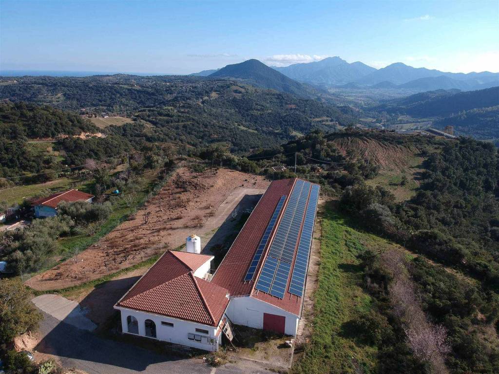 Rustico / casale a Loceri - Foto 2