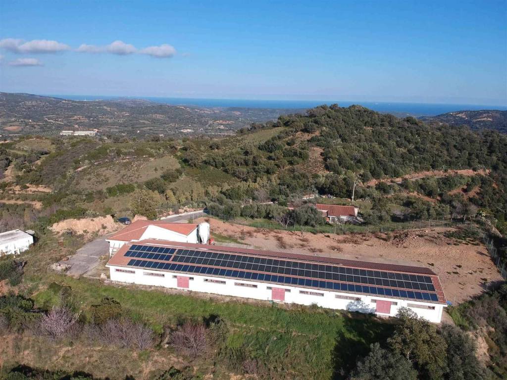 Rustico / casale a Loceri - Foto 4