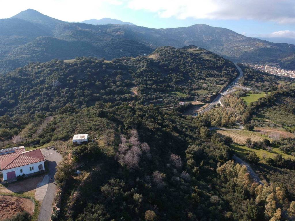 Rustico / casale a Loceri - Foto 5