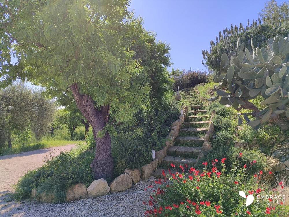 Villa a Noto in Strada Provinciale Gioi-Zupparda - Foto 3