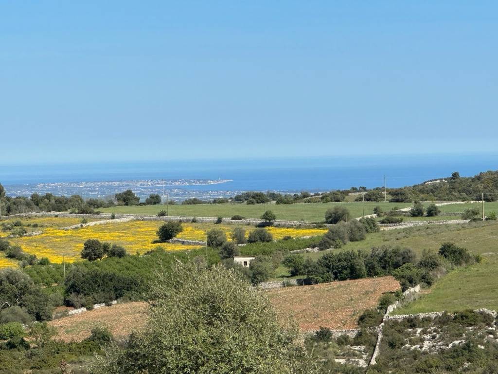 Terreno a Noto - Foto 4