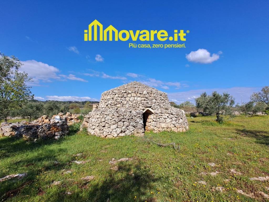 Terreno a Acquaviva delle fonti in Contrada Curtomartino Acquaviva delle Fonti - Foto 2