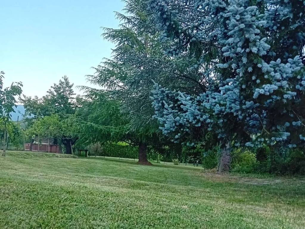 Villa a Gremiasco in Via Caldirola, 93 - Foto 5