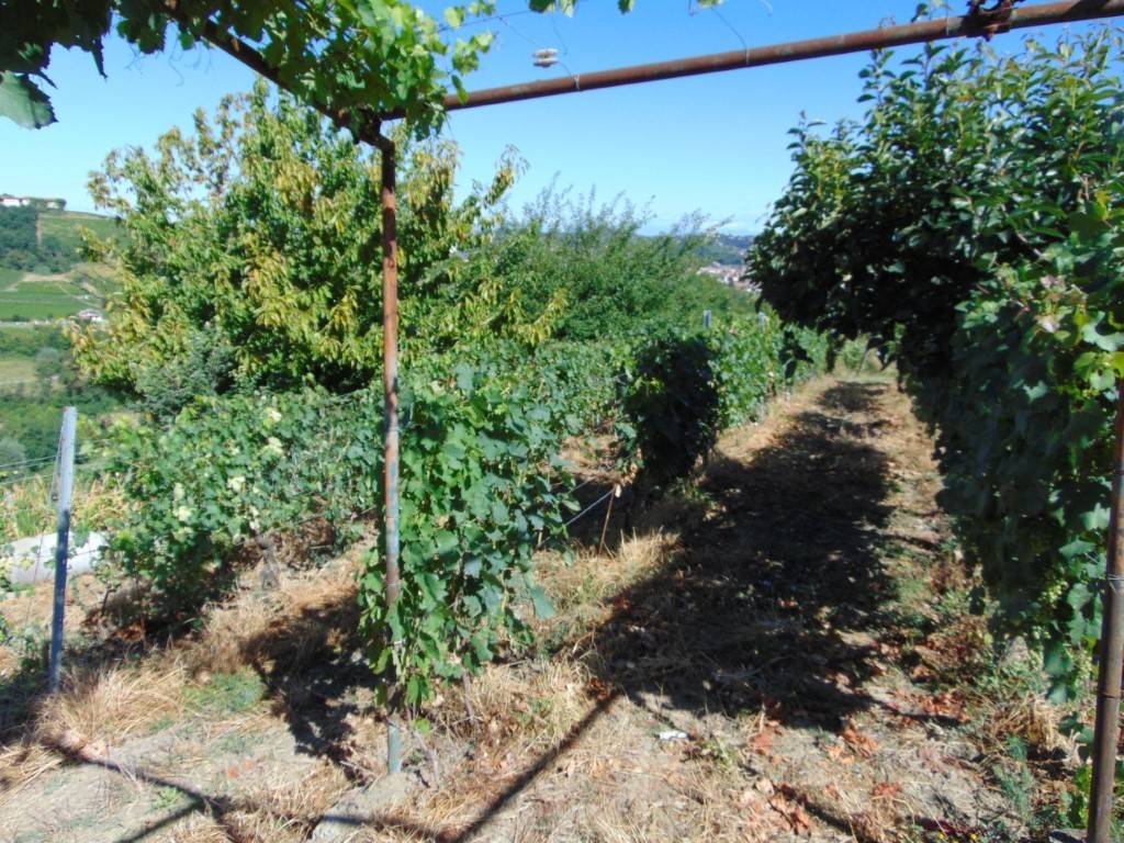 Terreno a Nizza monferrato in Strada Mollie, 25 - Foto 5