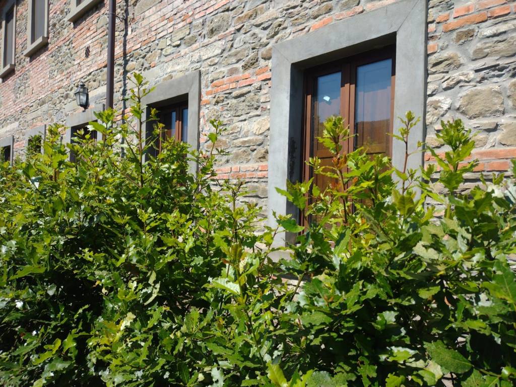 Appartamento a Rufina in Località Scopeti - Foto 2