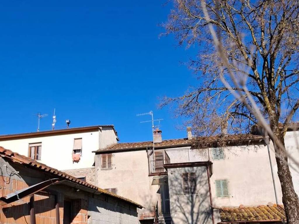 Rustico / casale a Castel focognano in Salutio S.N.C. - Foto 2