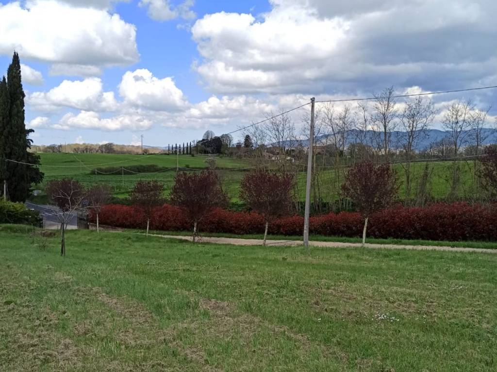 Rustico / casale a Sorano in Via 4 Novembre - Foto 2