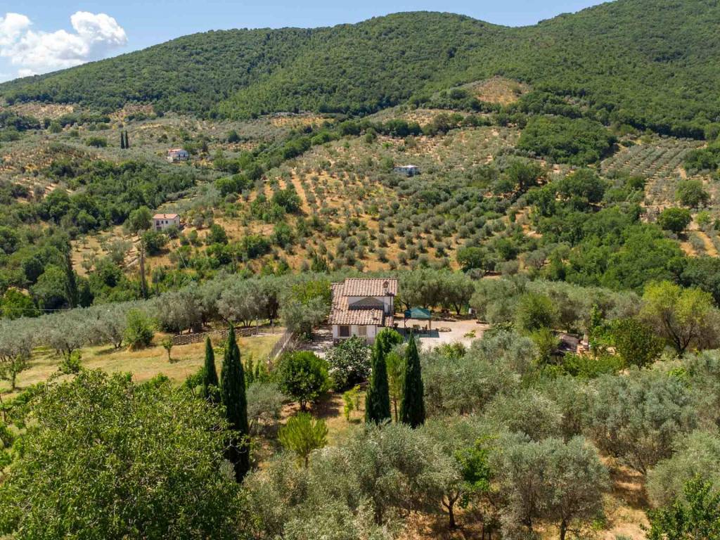 Rustico / casale a Toffia in Strada Pantane - Foto 2