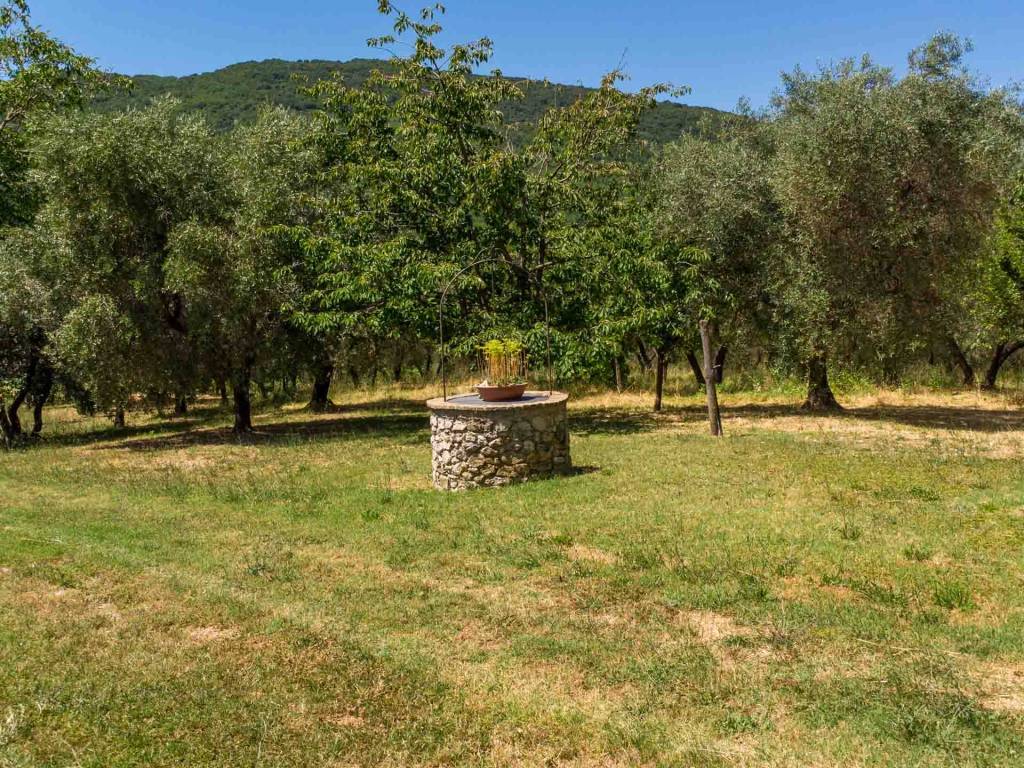 Rustico / casale a Toffia in Strada Pantane - Foto 5