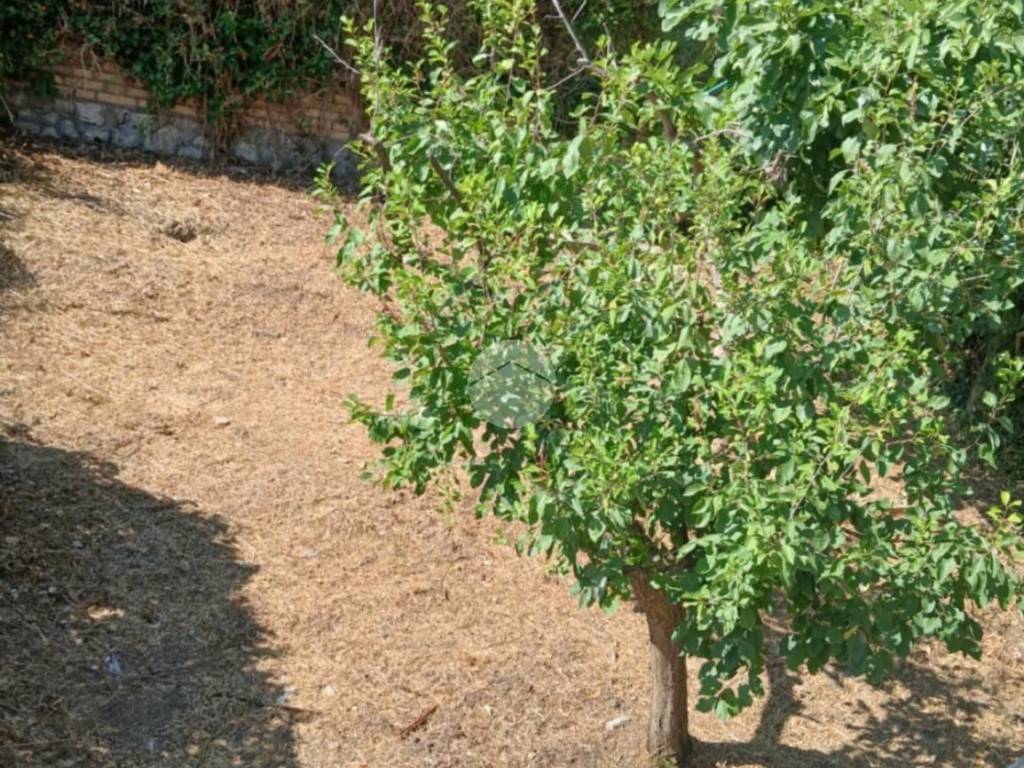 Appartamento a Penne in Viale Ringa, 66 - Foto 3