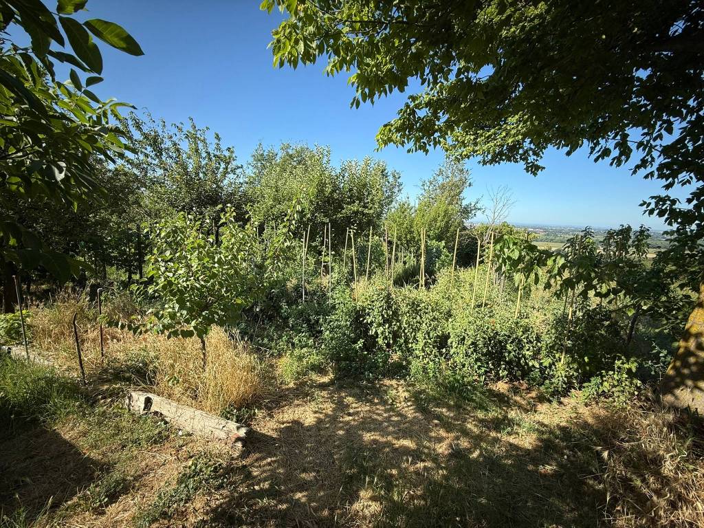 Terreno a Pietra marazzi in Strada Comunale Costa - Foto 5