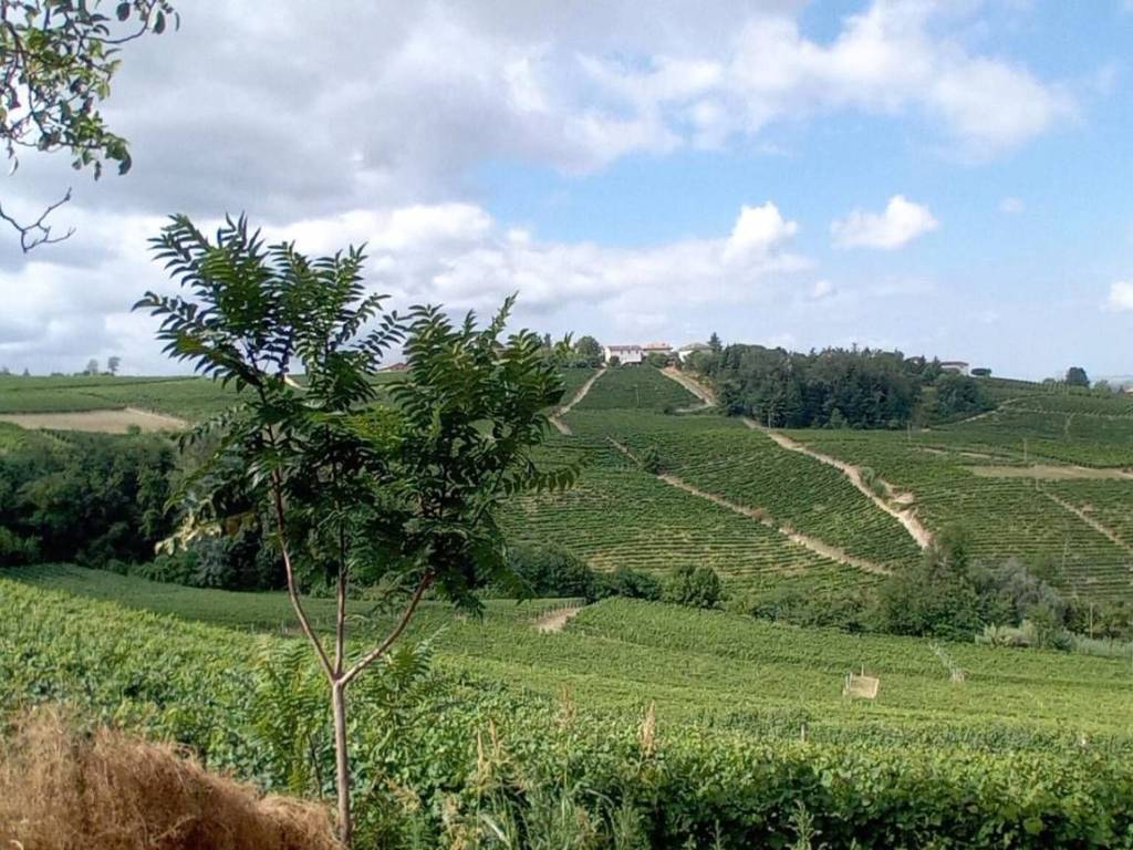Appartamento a Castagnole delle lanze in FRAZIONE CAROSSI GRAFFAGNO, 60 - Foto 4