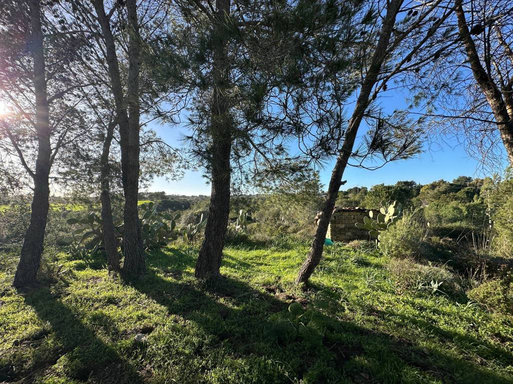 Villa a Noto in Via Soldato Gallo - Foto 5
