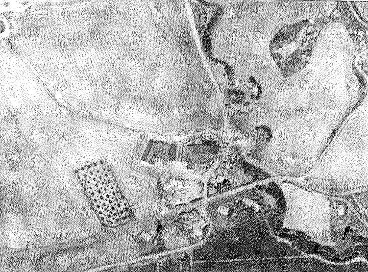 Terreno a Stigliano in Contrada Gannano - Foto 3