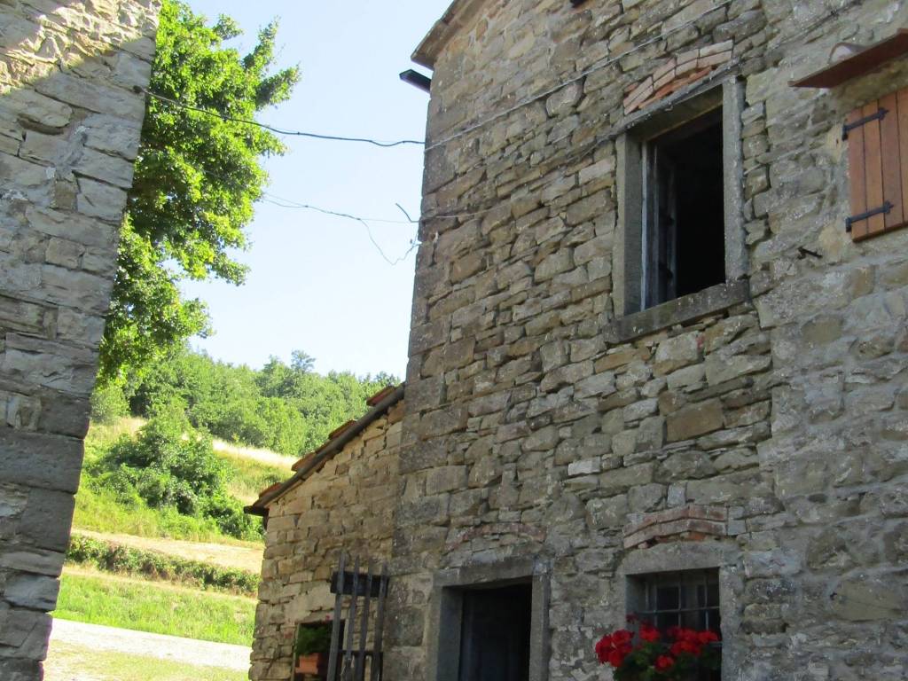 Casa indipendente a Pratovecchio e stia - Foto 2