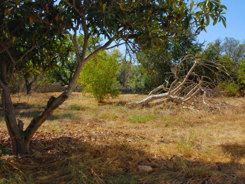 Terreno a Tricase in Via Enrico Toti, 7 - Foto 5