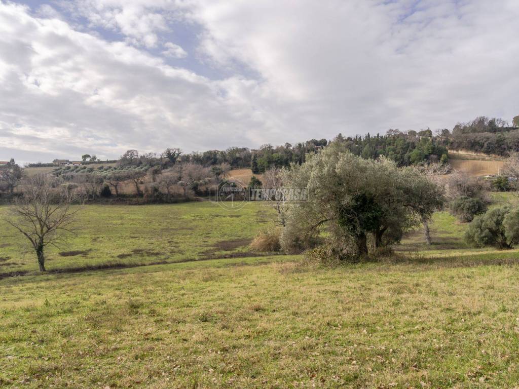 Terreno a Civitanova marche - Foto 5