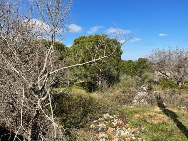 Villa a Noto in Strada Provinciale 4 - Foto 2