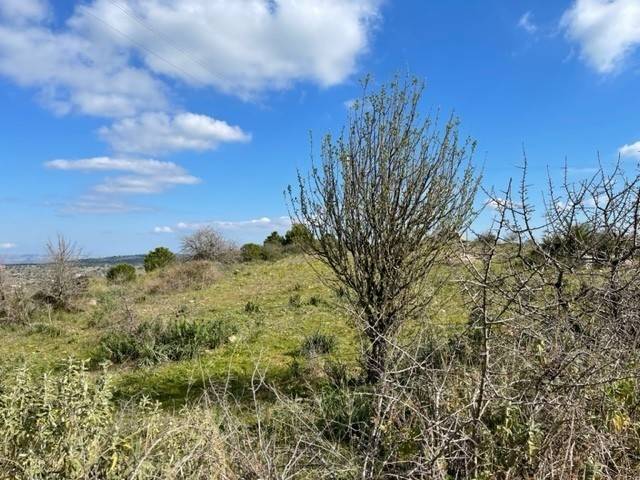 Villa a Noto in Strada Provinciale 4 - Foto 3