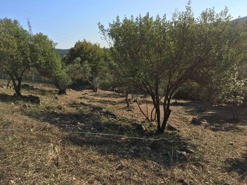 Terreno a Narni in Località la scogliara - Foto 2