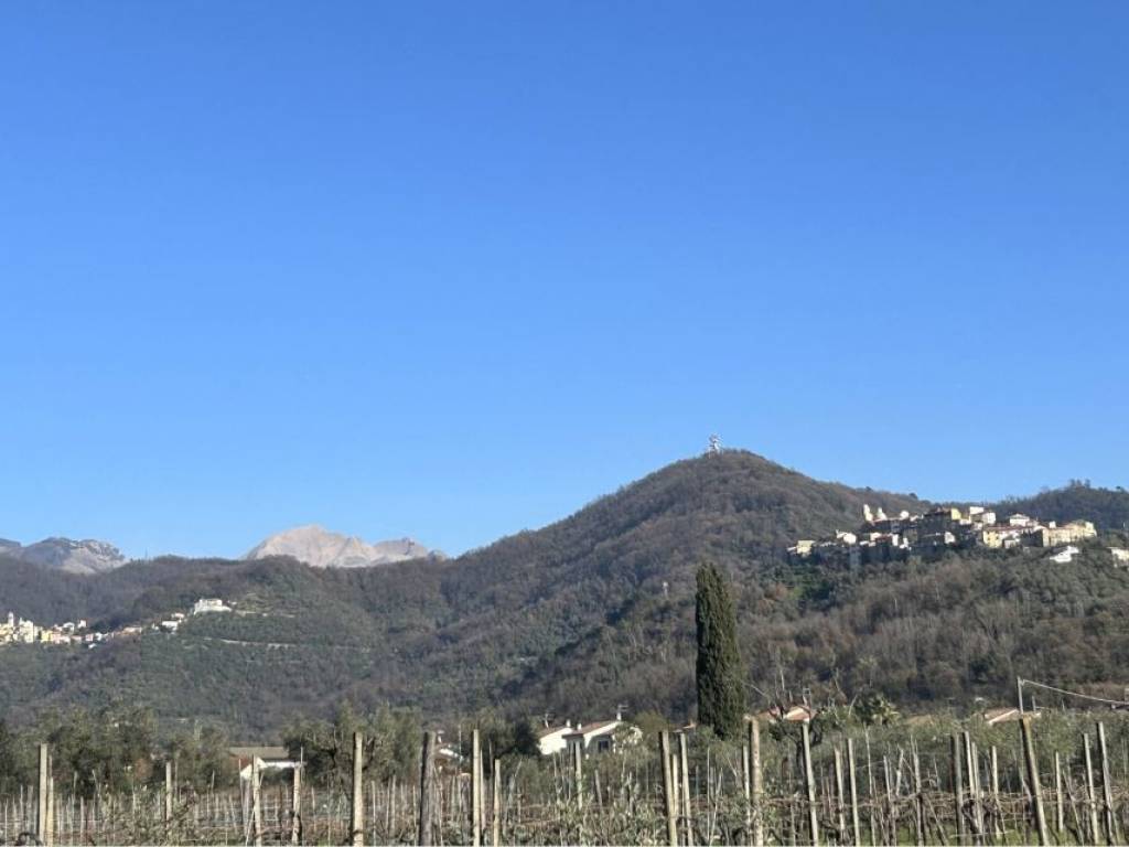 Appartamento a Luni - Foto 4