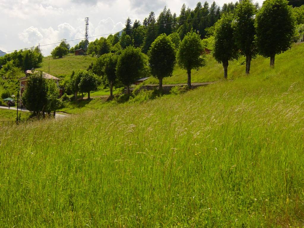 Terreno a Valle di cadore in Viale Dolomiti - Foto 2