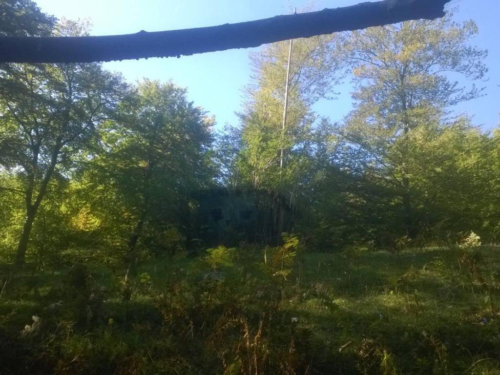 Terreno a Centro valle intelvi in Località Bolla - Foto 3