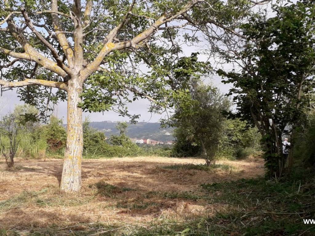 Terreno a Cessaniti in Strada Provinciale, 80 - Foto 3