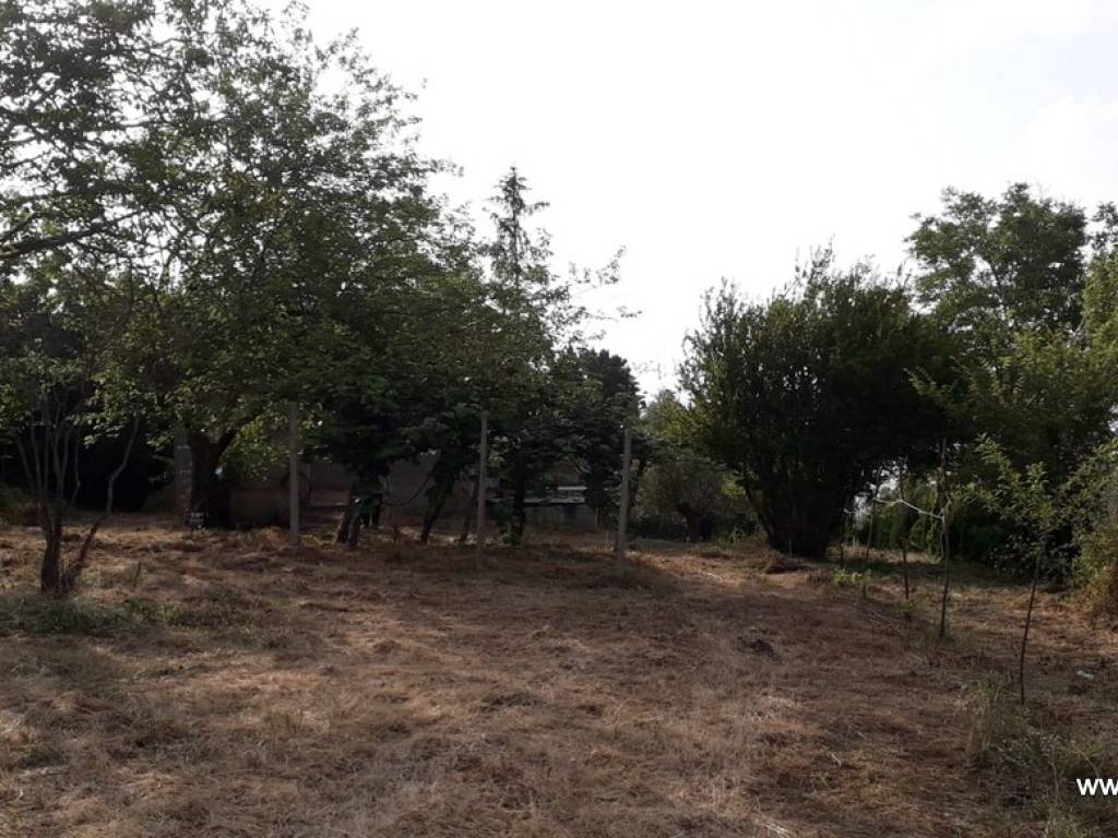 Terreno a Cessaniti in Strada Provinciale, 80 - Foto 4