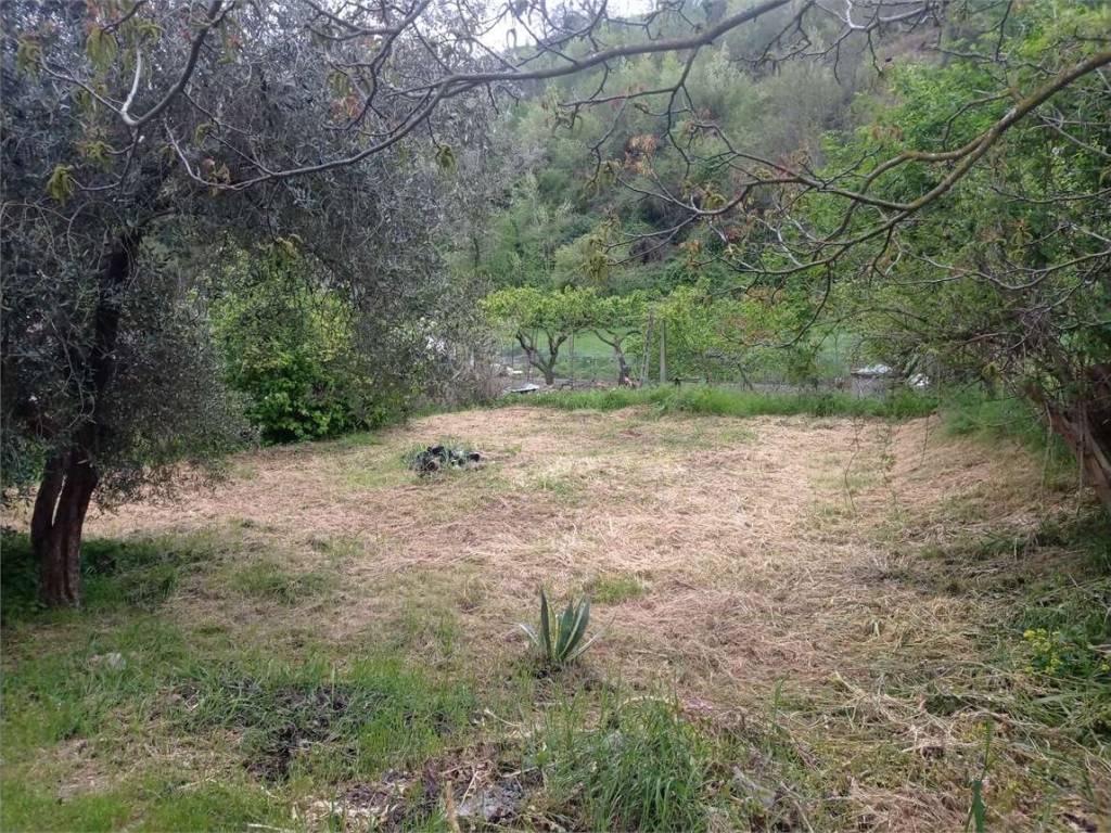 Casa indipendente a Tavoleto - Foto 2