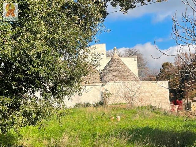Rustico / casale a Martina franca in SP58 - Foto 4