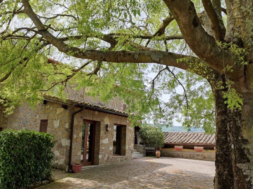 Rustico / casale a Orte - Foto 5