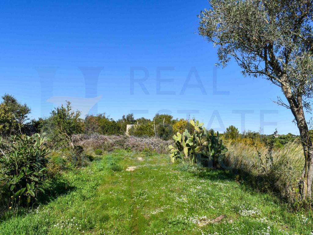 Villa a Noto in Via Tommaso Fazello, 228 - Foto 4