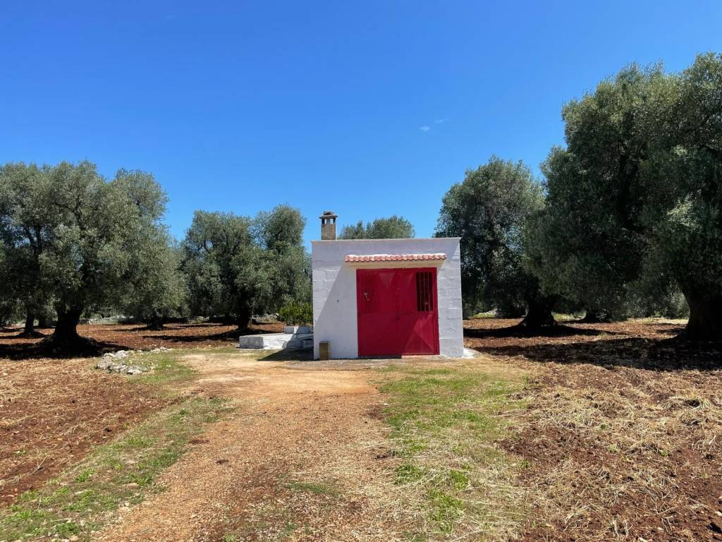 Rustico / casale a Ceglie messapica in Via Votano - Foto 4