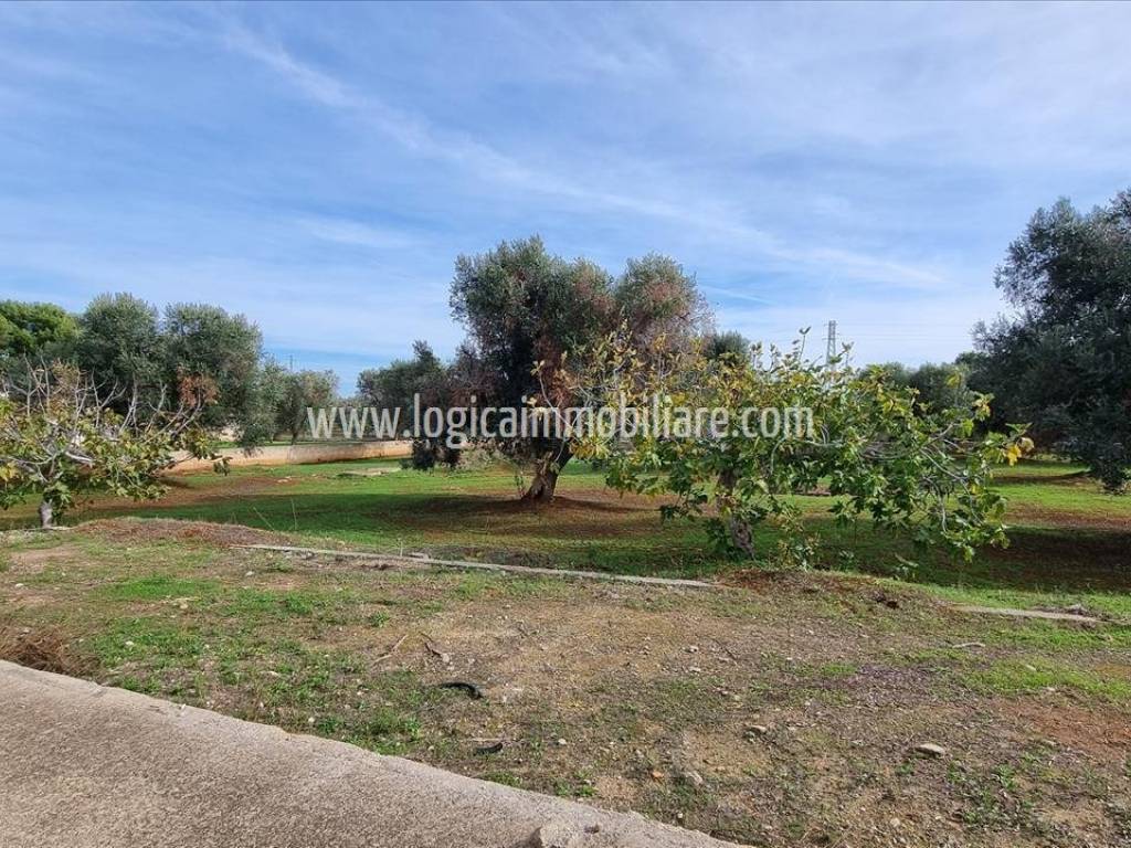 Villa a Carovigno in SP32 - Foto 3