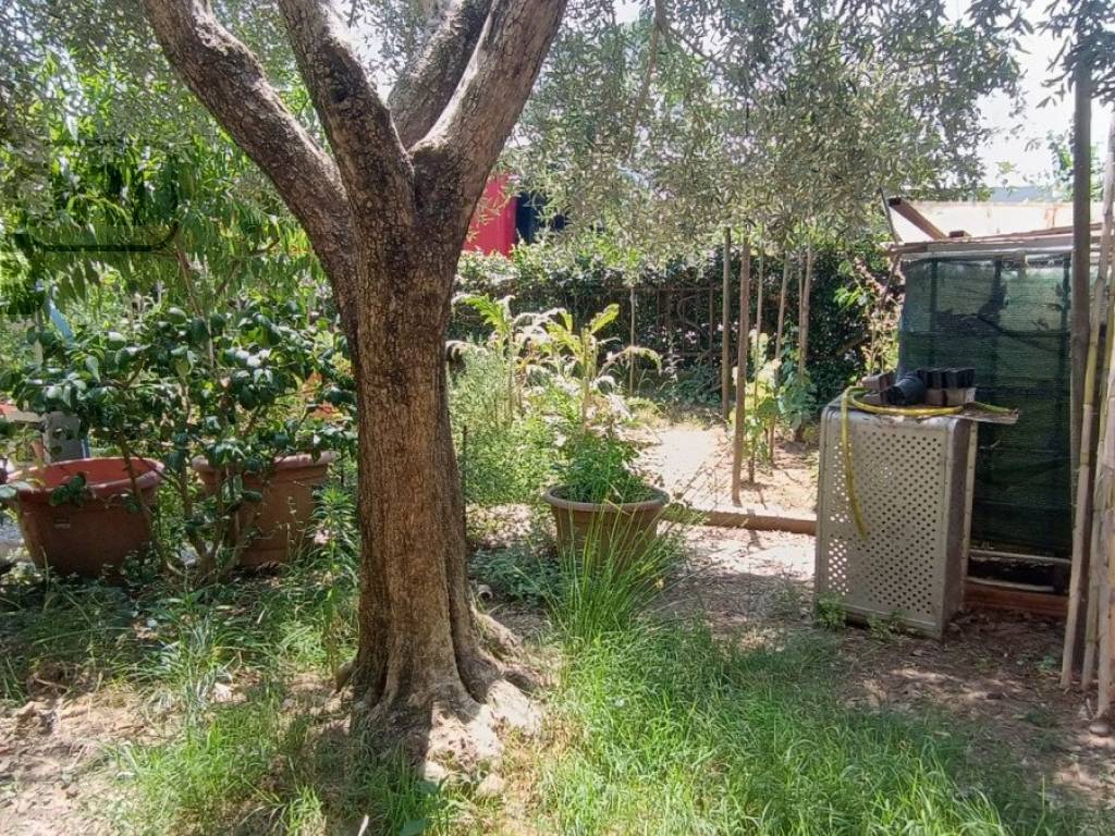 Appartamento a Porcari in Via Ciarpi - Foto 3