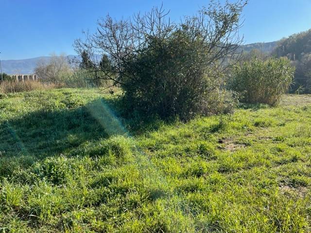 Terreno a Rende in C.DA CUTURA - Foto 4