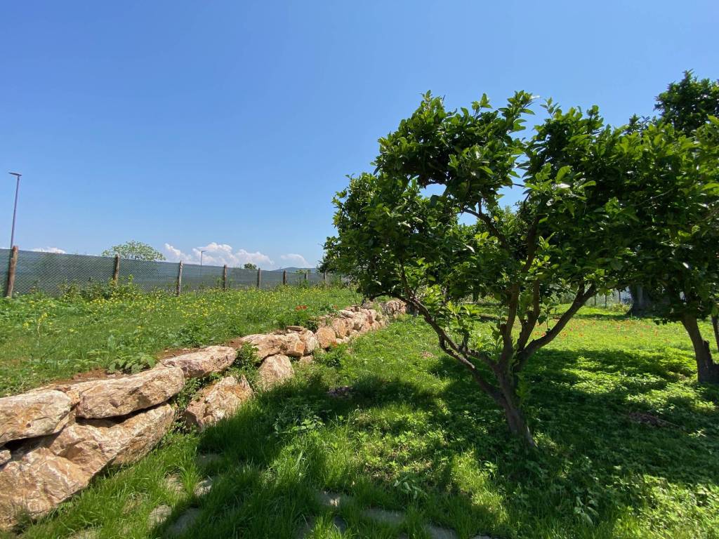 Rustico / casale a Orbetello - Foto 4