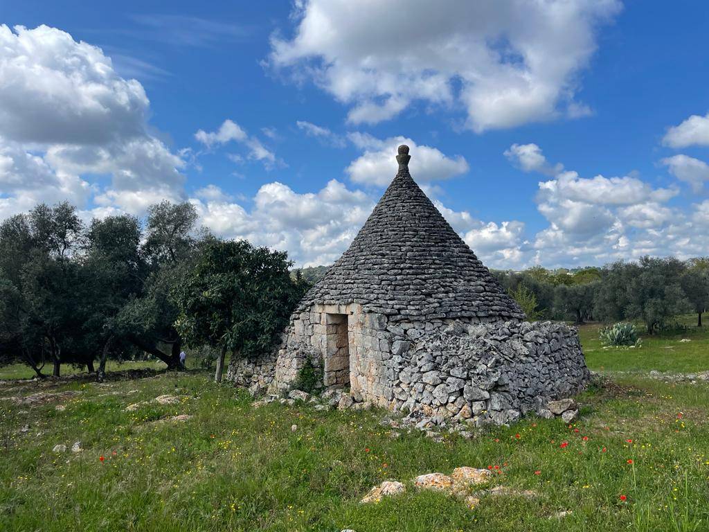 Rustico / casale a Ceglie messapica in Via Domenico Amati - Foto 5