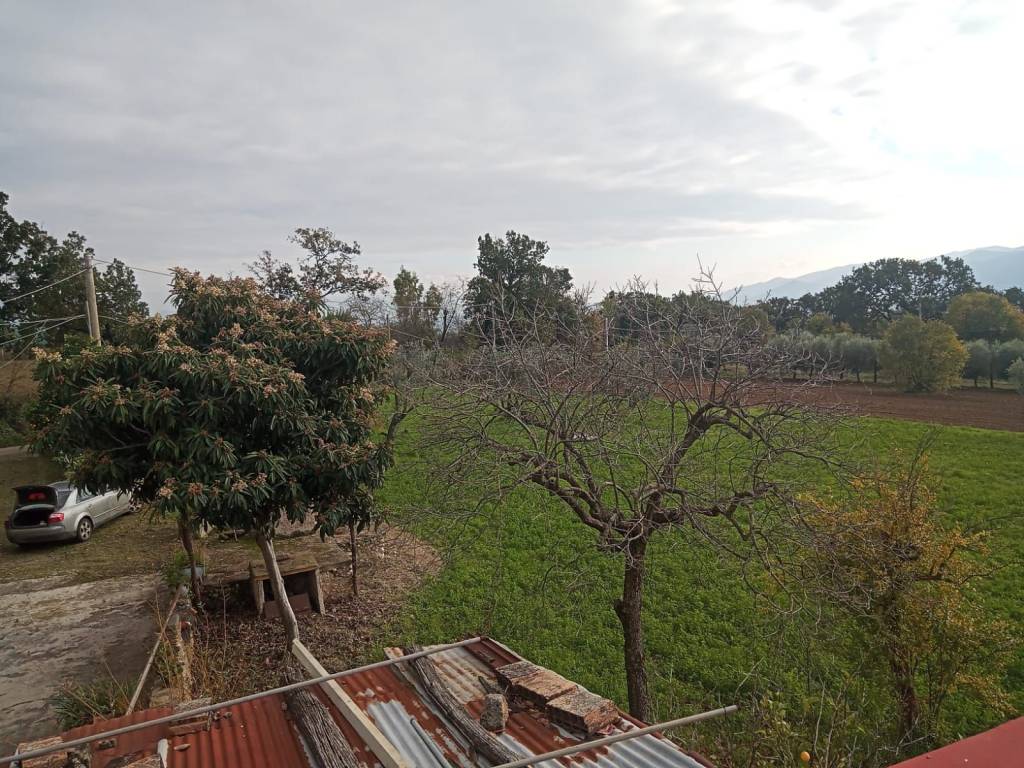 Rustico / casale a Sant'angelo d'alife in VIA PETRULO - Foto 5