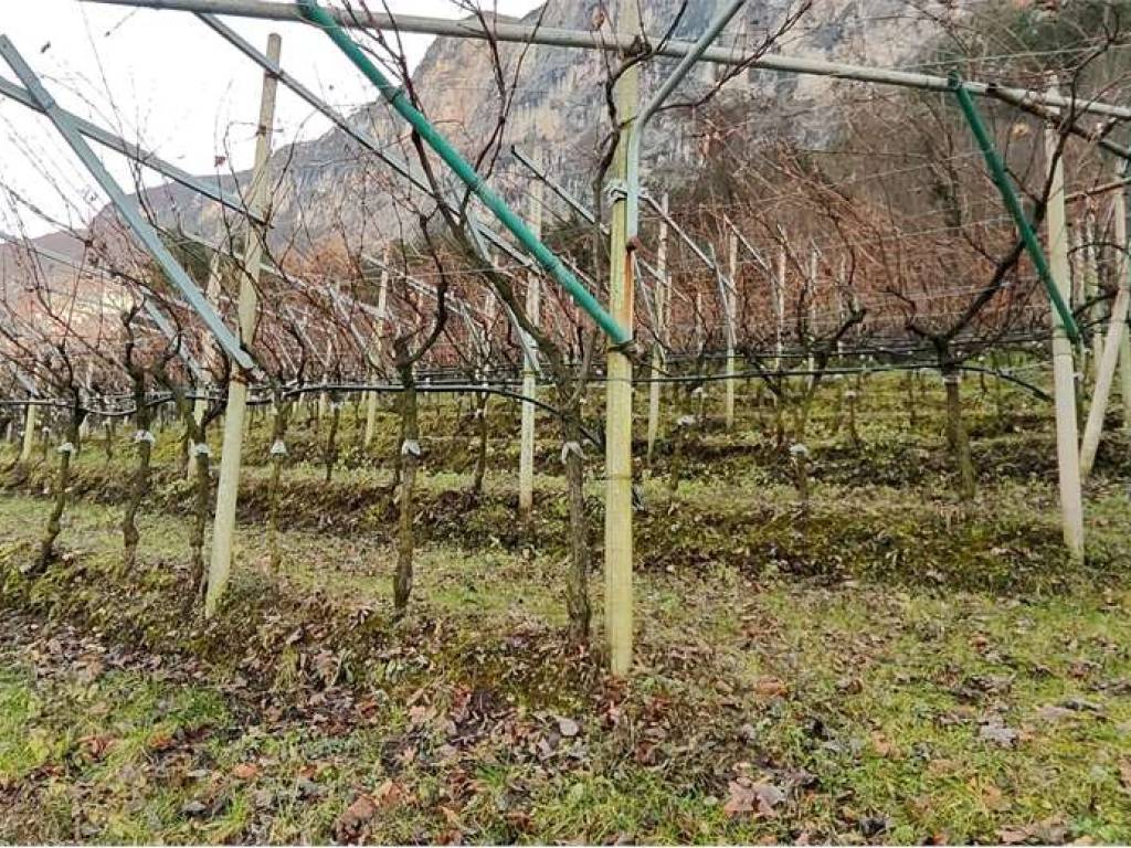 Terreno a Volano in VIA NAZIONALE, 28 - Foto 3