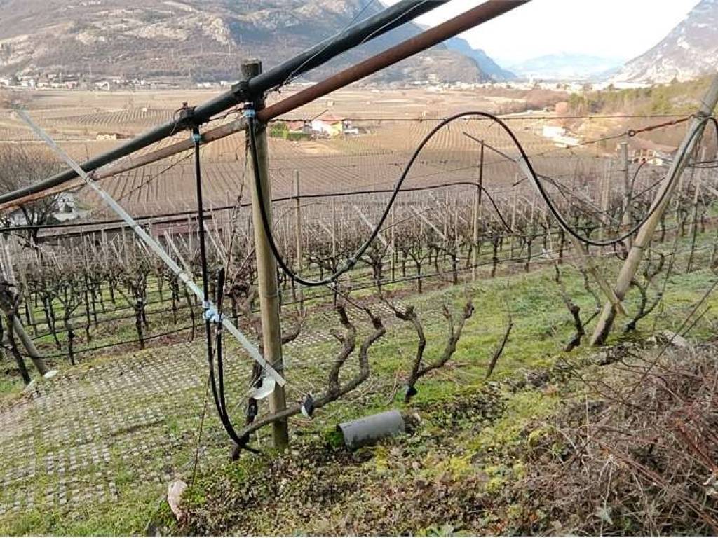 Terreno a Volano in VIA NAZIONALE, 28 - Foto 4